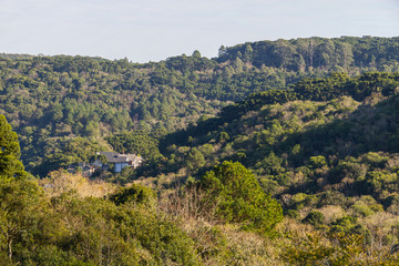 Fototapeta na wymiar Forest,mountains and Farms in Gramado