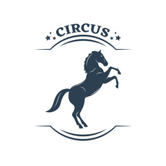 Circus number with animals, performance, riding on horseback.