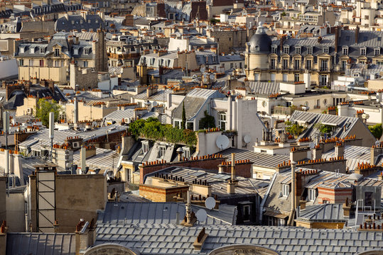 Paris rooftops in summer with their roof gardens, mansard and French roofs. 17th Arrondissement of Paris, France
