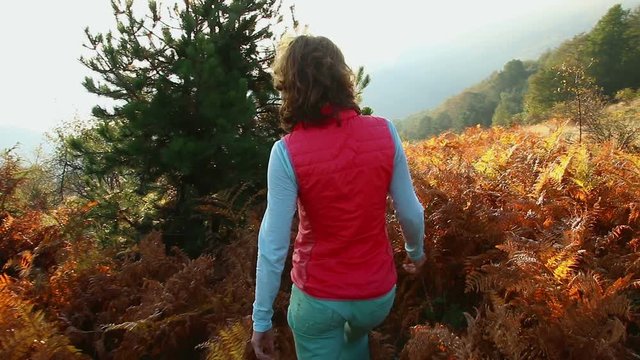 Young atractive tourist woman hikes  through mountain fern fall forest, Steady cam shot.