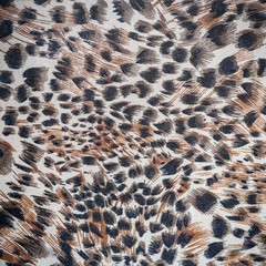 abstract background pattern texture of material