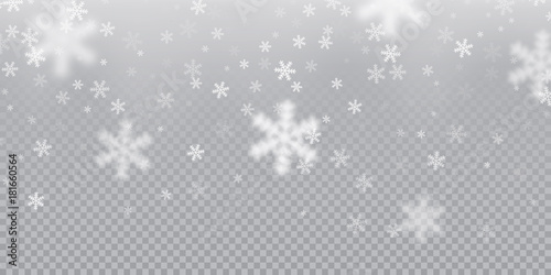 Falling Snowflake Pattern Background Of White Cold Snowfall Overlay Texture Isolated On Transparent Background Winter Xmas Snow Flake Ice Elements Template For Christmas Of New Year Holiday Design Wall Mural Ron Dale