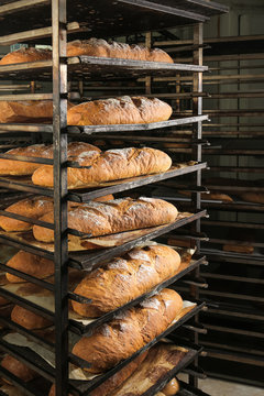 Loaves of bread on shelving in bakery