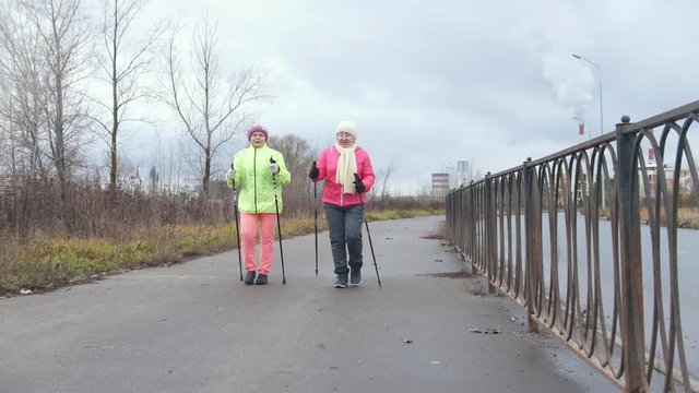 Nordic walking - sport for elderly woman in autumn park - modern healthy training