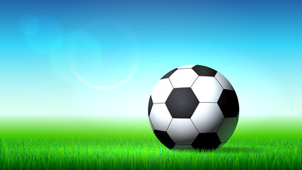 Fototapeta premium Soccer ball on the grass, soccer stadium