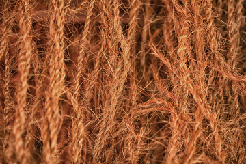 Brown ropes from coconut fibers
