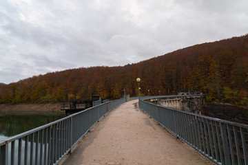 Fototapeta premium Selva de Irati, Navarra, Spain