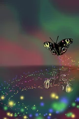 Foto auf Leinwand vlinder als teken van hoop © emieldelange