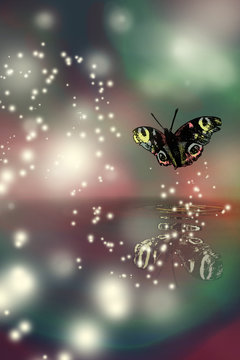 vlinder als teken van hoop