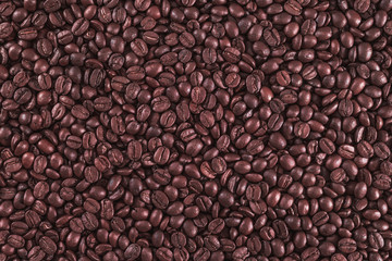 Roasted coffee beans on a flat background.
