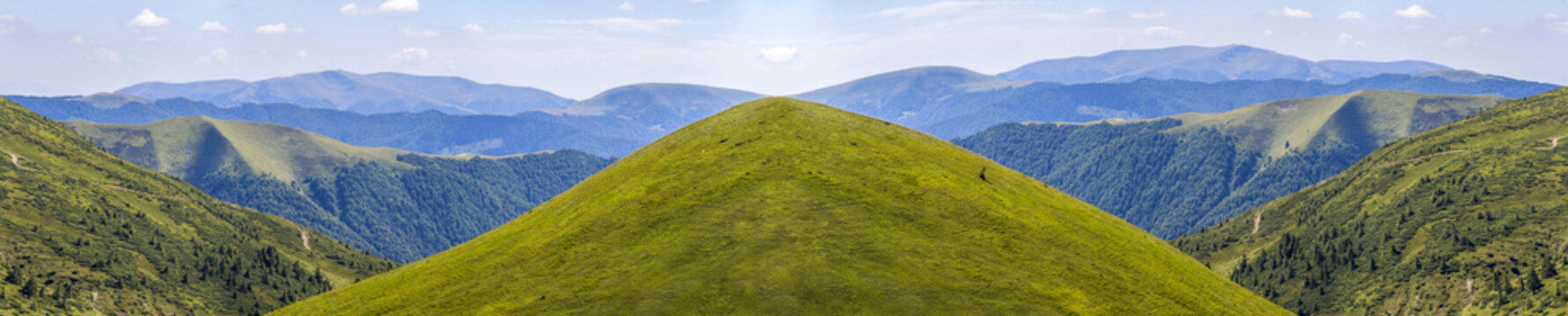 Panorama of green hills in summer mountains