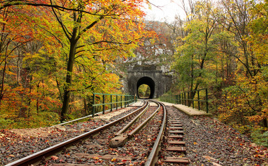 Obraz premium Railway in the forest