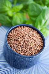 Lentils vegetarian food in ceramic bowl