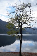 Bohinj lake, autumn, Slovenia