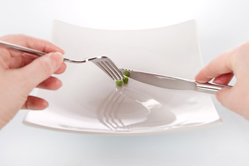 Di&auml;t - Guter Vorsatz im neuen Jahr