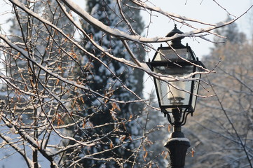 Winter season in Florence. Old lamp with snowy trees at the Piazzale Michelangelo. Italy