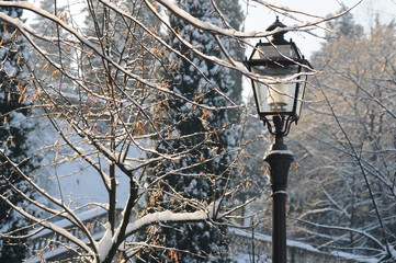 Winter season in Florence. Old lamp with snowy trees at the Piazzale Michelangelo. Italy