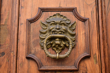 Poignée de porte en laiton à tête grotesque