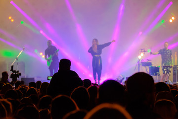 Obraz na płótnie Canvas Audience cheering at live concert