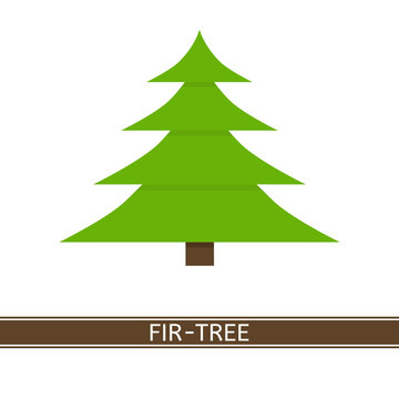 Vector illustration of fir tree isolated on white background. Christmas tree in flat style.