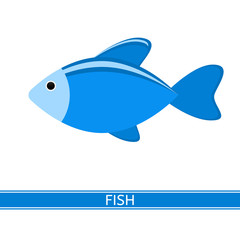 Vector illustration of fish isolated on white background in flat style