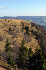 Belchen im Schwarzwald