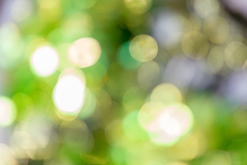 Blured chrismas background. Green glitter shiny bokeh