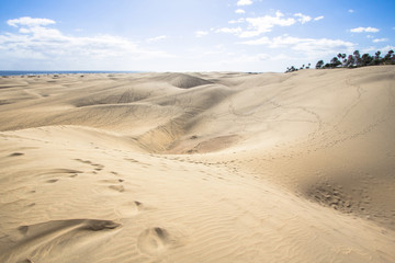 Maspalomas Sand Dune Desert, Grand Canaria