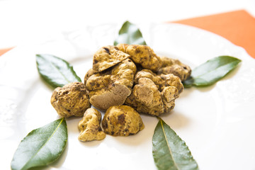 white truffles