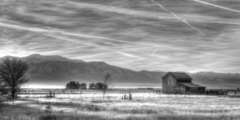 Old Barn in Black and White at Sunrise