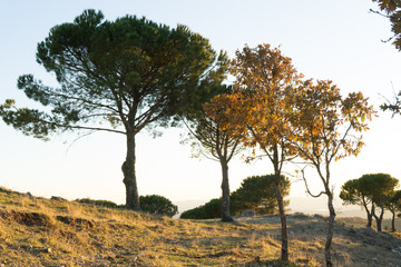 Obraz premium Tentudía Monasterio