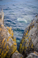 Rocks in the Atlantic Coast