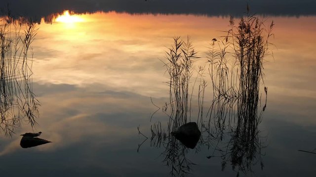 Acque del lago al tramonto