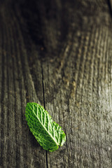 Green mint leaf on the wooden table © Dark Light