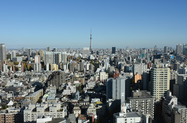 Fototapeta premium 日本の東京都市景観「墨田区や台東区方面などを望む」