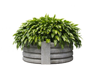 Isolated planter with clipping path