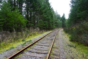 Railroad Tracks - Victoria, BC