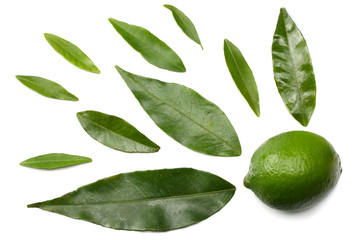 healthy food. lime with green leaf isolated on white background top view