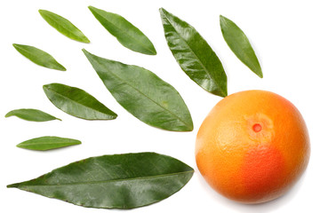 healthy food. grapefruit with green leaf isolated on white background top view
