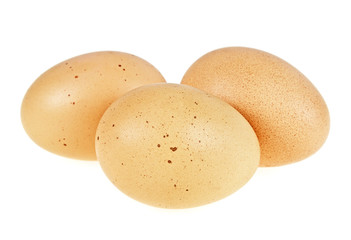 Fototapeta na wymiar Three brown chicken eggs isolated on a white background