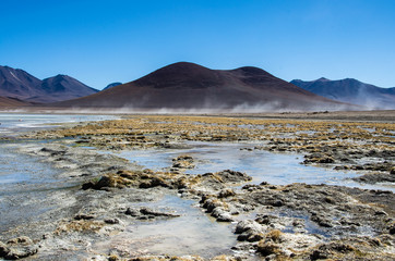 Flamingos in Laguna Hedionda located in the Bolivian altiplano near the Uyuni Salt Flat