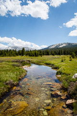 A Back Country Stream and Meadow