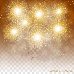 Brightly Colorful Fireworks. Transparent illustration of Fireworks. Holiday fireworks background.