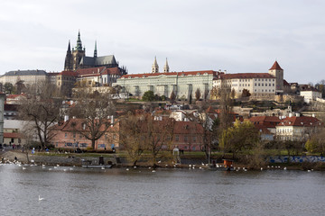 View on the autumn Prague gothic Castle above River Vltava, Czech Republic