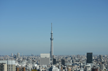 Fototapeta na wymiar 日本の東京都市景観・快晴「墨田区方面などを望む」