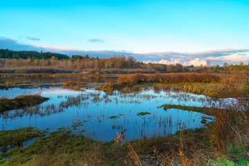 Beards Cove