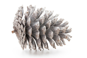 Christmas pine cone on white background.