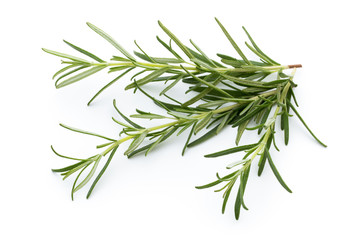 Rosemary isolated on white background, Top view.