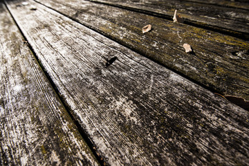 Obraz premium Texture