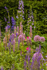 Obraz premium Beautiful Flowerbed in a Dublin Park